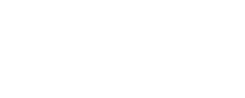 Grupo Auge
